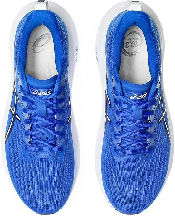 ASICS Men's GT-2000 13 Running Shoes